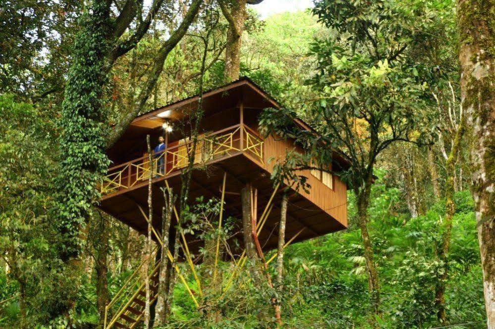 Seven Springs Resort Munnar Exterior foto